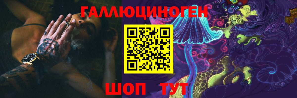 Псилоцибиновые грибы Psilocybe Тула