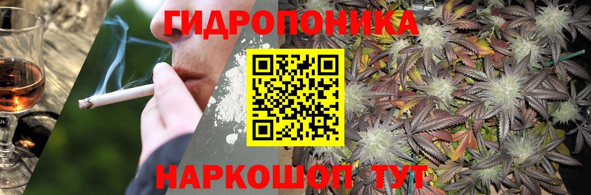 Каннабис семена  Каннабис семена  Канабис Bruce Banner  Тула  Вход с VPN  Бошки Шишки планчик 